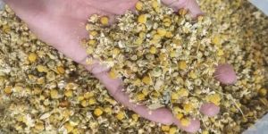 Dried Chamomile Flower for Candle