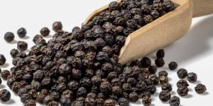 Black Pepper