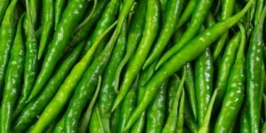 Fresh Green Chilli