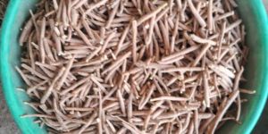 Organic Ashwagandha Root