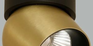 Isha Tiltable Brass LED Spot Light