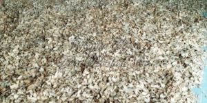 IPM Dry Ginger Slice