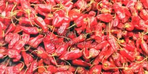 IPM Tepa Red Chilli