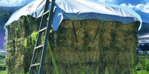 PVC Laminated Tarpaulins