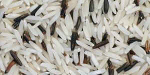 Basmati Rice