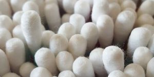 Cotton Buds