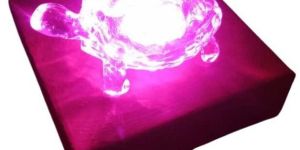 turtle led light statue