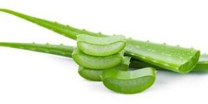 Aloe Vera Gel