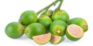 Betel Nuts