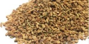 Carom Seeds