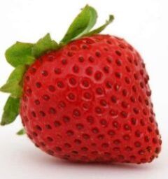Fresh Strawberry