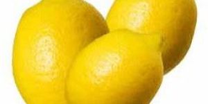 Fresh Yellow Lemon