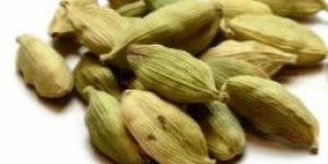 Green Cardamom