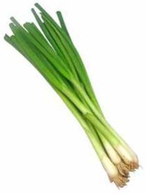 Green Spring Onion