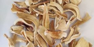 Dehydrated Raw Jackfruit Slices