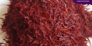 Kashmiri Half Cut Mongra Saffron Strands