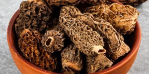 Morel Mushroom Guchhi