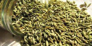 Fennel Seed