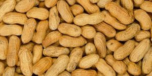 Groundnuts