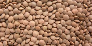 Indian Brown Lentils