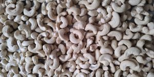 W240 White Whole Cashew Nut