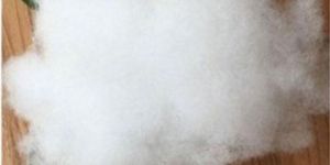 White Raw Carded Fiber