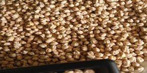 A Grade Kabuli Chana