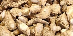 Dry Ginger