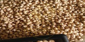 A Grade Kabuli Chana