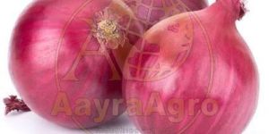 a Grade Fresh Red Onion