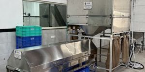 Automatic Cashew Peeling Machine