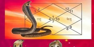 Kaal Sarp Dosh Puja Services