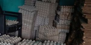 Paper Trays