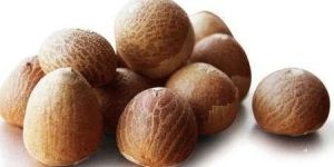 Whole Dried Betel Nut