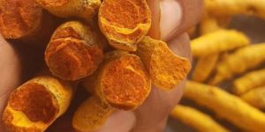 Turmeric Finger