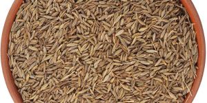 Cumin Seeds