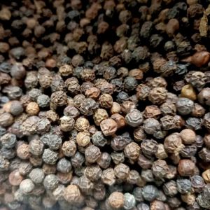 Black Pepper Seeds