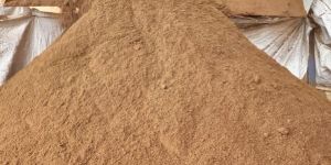 Cow Dung Powder
