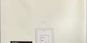 Polyester White Plain Pure Wool Lohi
