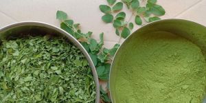 Moringa Leaf Powder
