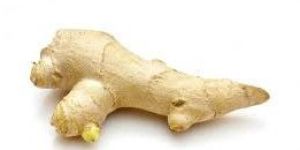 Fresh Whole Ginger Knob
