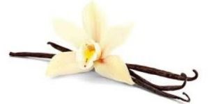 Gourmet Vanilla Bean Seeds