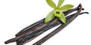 Organic Vanilla Bean Pods