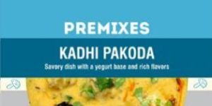 Dehydrated Ready to Eat Kadhi Pakoda, Camping Food