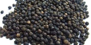 Black Pepper Seeds
