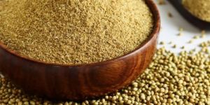 Coriander Powder