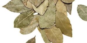 Dried Bay Leaves