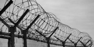 Concertina Coil Fencing, For Industrial