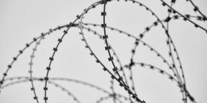 Galvanized GI Knotted Fence