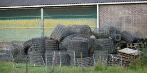 Tree Guard Welded Wire Mesh